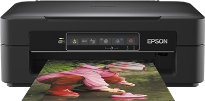 Epson Expression Home XP-245 Druckerpatronen