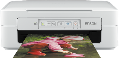 Epson Expression Home XP-247 Druckerpatronen