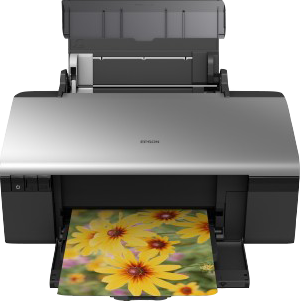 Epson Stylus Photo R285 Druckerpatronen