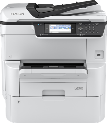 Epson WorkForce Pro WF-C878RDWF BAM Druckerpatronen