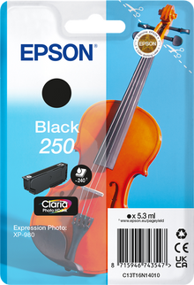 epson-250-schwarz-druckerpatrone-1