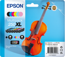 epson-250-xl-multipack-schwarz-cyan-magenta-gelb-cyan-hell-helles-magenta-1